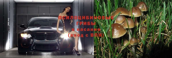 тгк Володарск