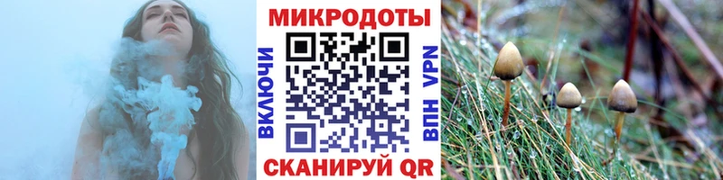 OMG зеркало  Туапсе  Псилоцибиновые грибы Psilocybine cubensis  наркотики 